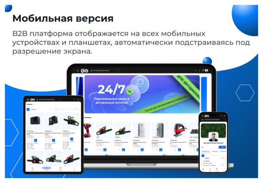 Сотбит: B2B портал Pro
